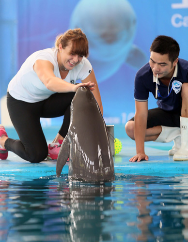 辽宁队的球 辽宁队的球